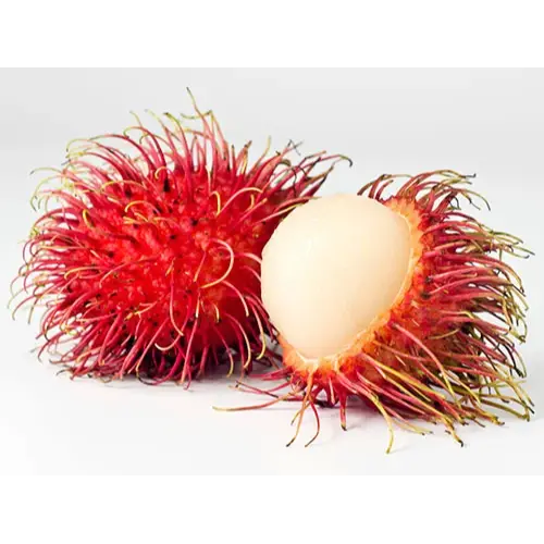Rambutan Fruit