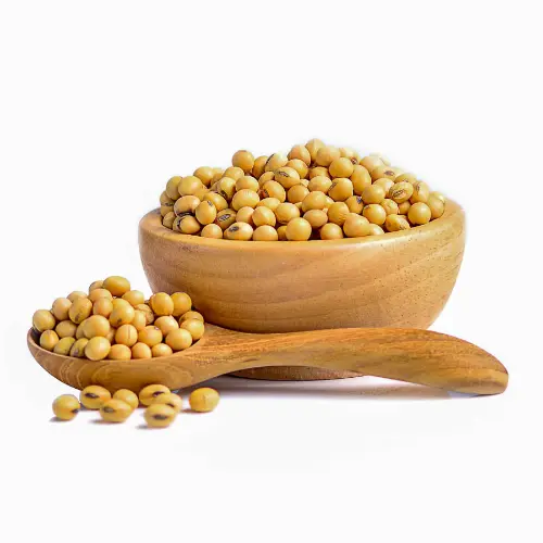 Soyabean