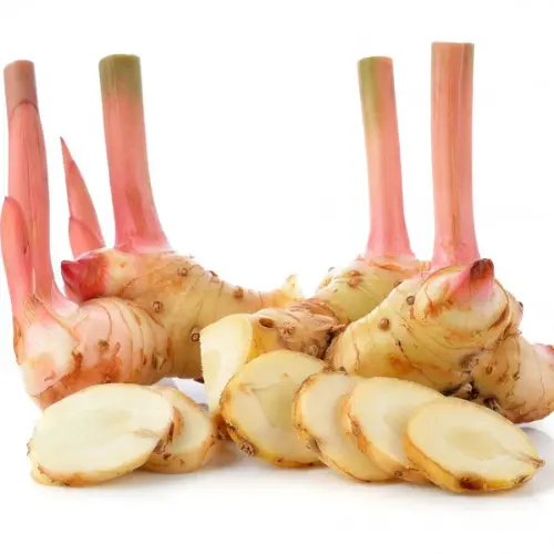 Galangal
