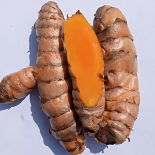 Lakadong Turmeric