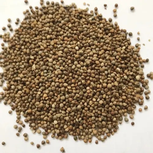 Perilla Seed